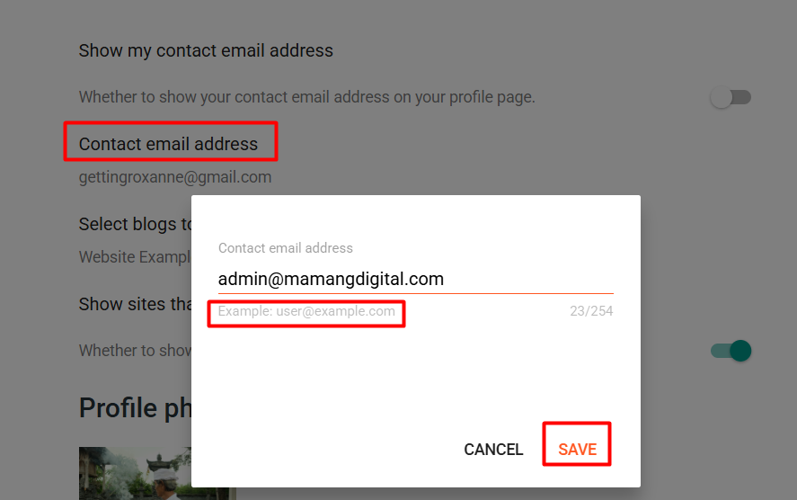 Blogger user profile Identity section showing the email address field
