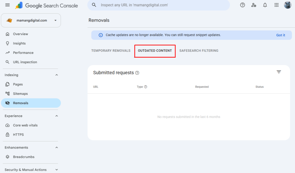 Google Refresh Outdated Content tool with a URL entered for review