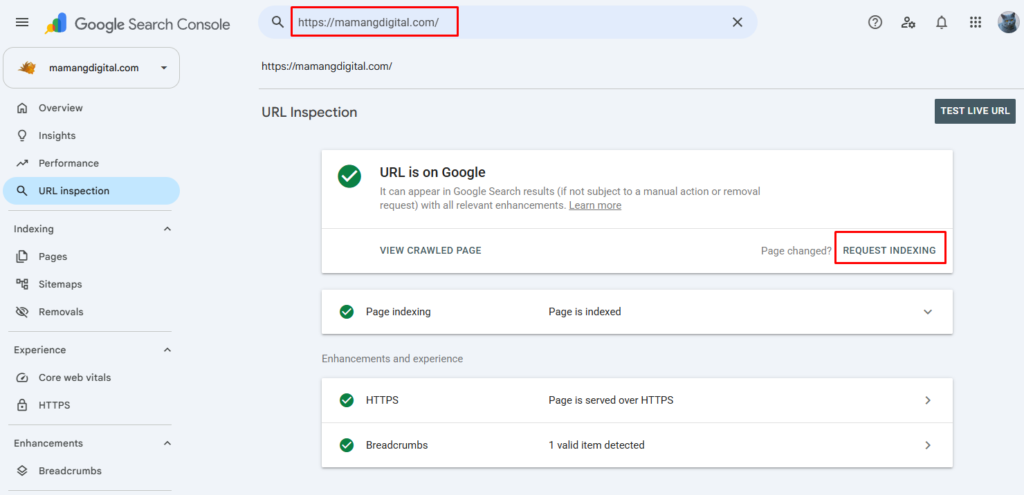URL Inspection in Search Console with a homepage URL entered and the Request Indexing option visible